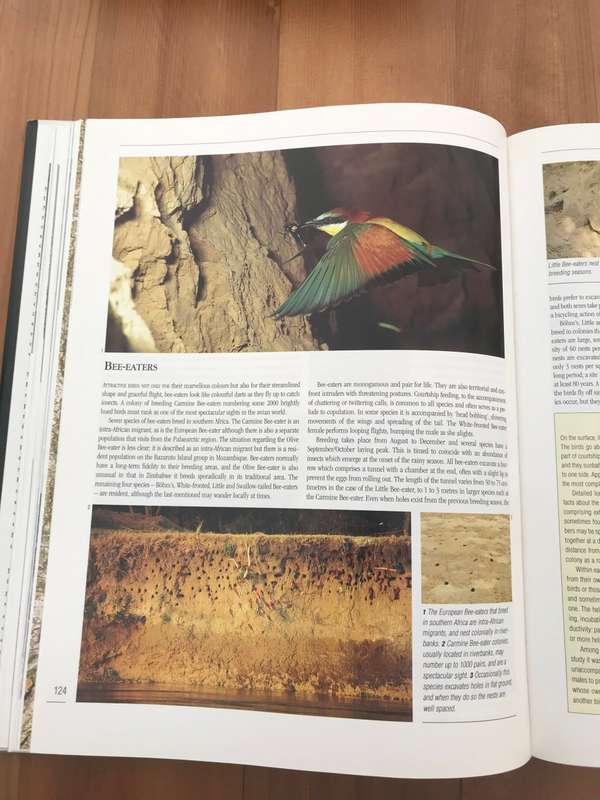 Nesting birds: The breeding habits of southern African birds (Peter Steyn)