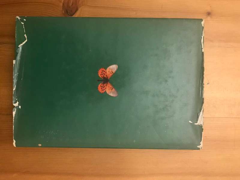 The Butterflies of the Table Mountain Range ; with Comprehensive Observations on Their Habits, Times