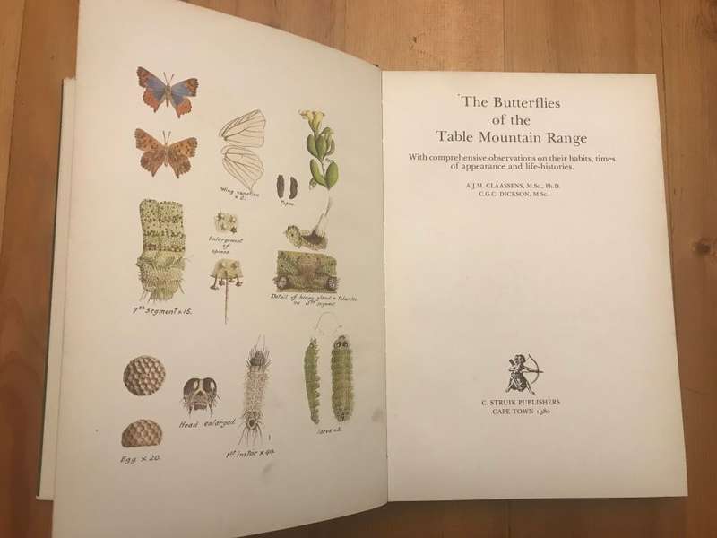 The Butterflies of the Table Mountain Range ; with Comprehensive Observations on Their Habits, Times