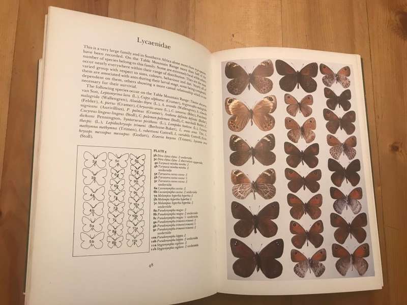 The Butterflies of the Table Mountain Range ; with Comprehensive Observations on Their Habits, Times