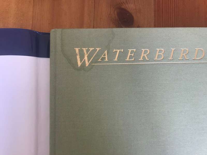 Waterbirds: The Birds of Southern Africa's Wetlands