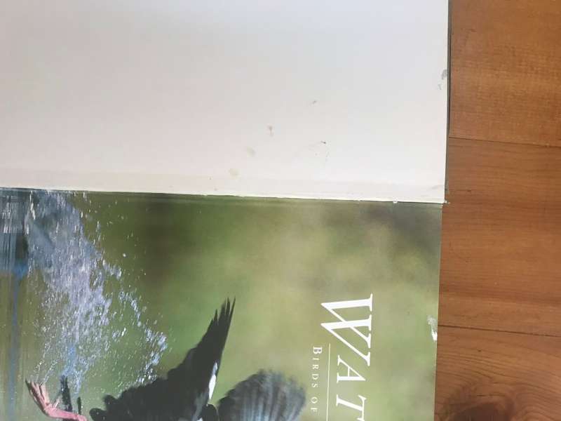Waterbirds: The Birds of Southern Africa's Wetlands
