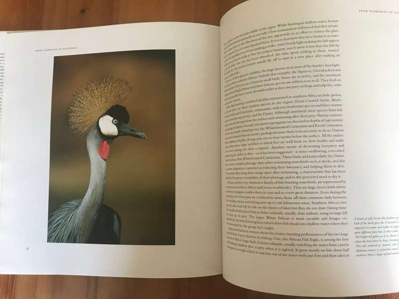 Waterbirds: The Birds of Southern Africa's Wetlands