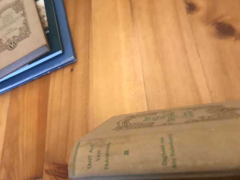 Tant Alie van Transvaal - Die Dagboek van Alie Badenhorst