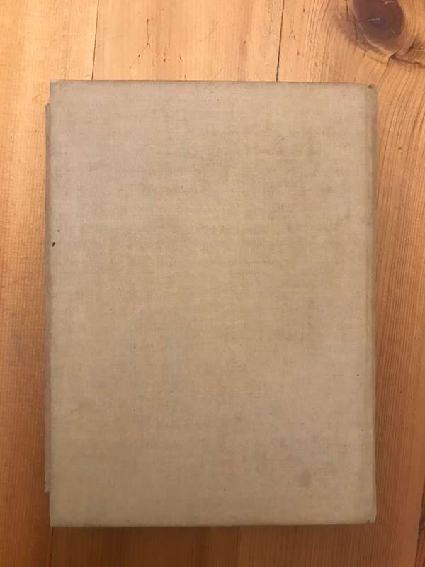 Tant Alie van Transvaal - Die Dagboek van Alie Badenhorst