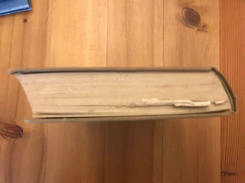 Tant Alie van Transvaal - Die Dagboek van Alie Badenhorst