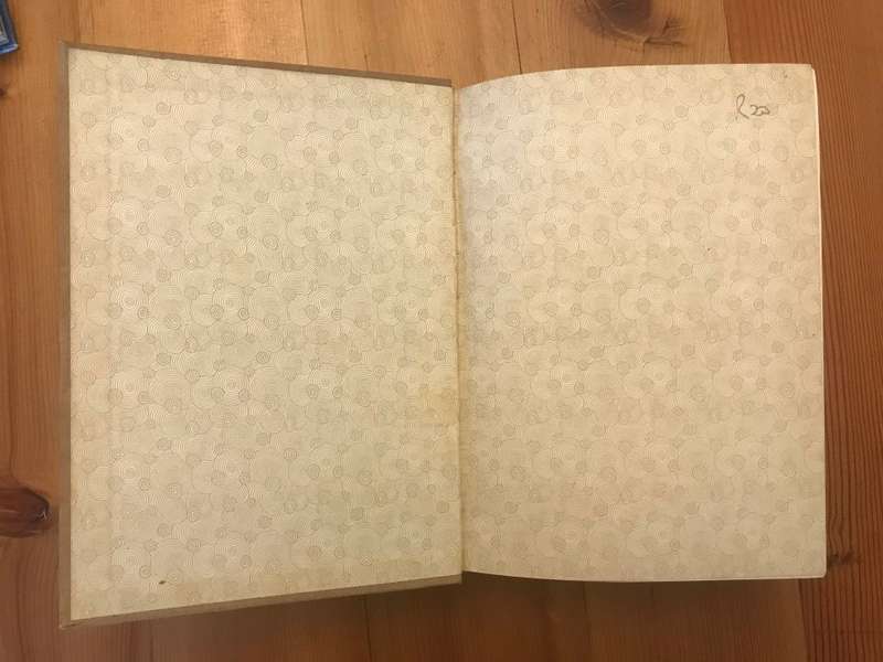 Tant Alie van Transvaal - Die Dagboek van Alie Badenhorst