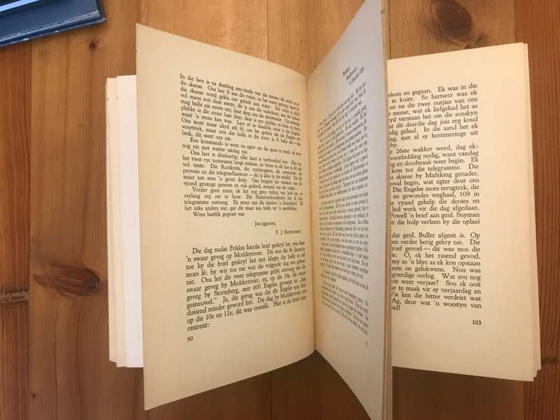 Tant Alie van Transvaal - Die Dagboek van Alie Badenhorst