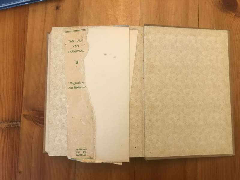 Tant Alie van Transvaal - Die Dagboek van Alie Badenhorst