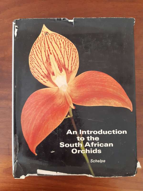 An introduction to South African orchids