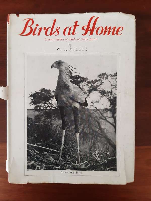 Birds at home; Camera studies of Birds of South Africa