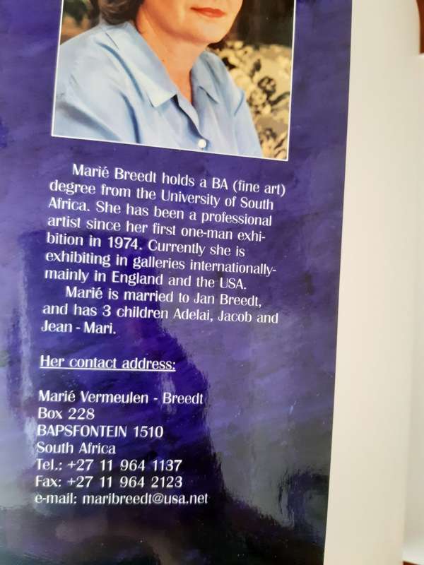 Marie Vermeulen Breedt - A celebration of paint, light and colour