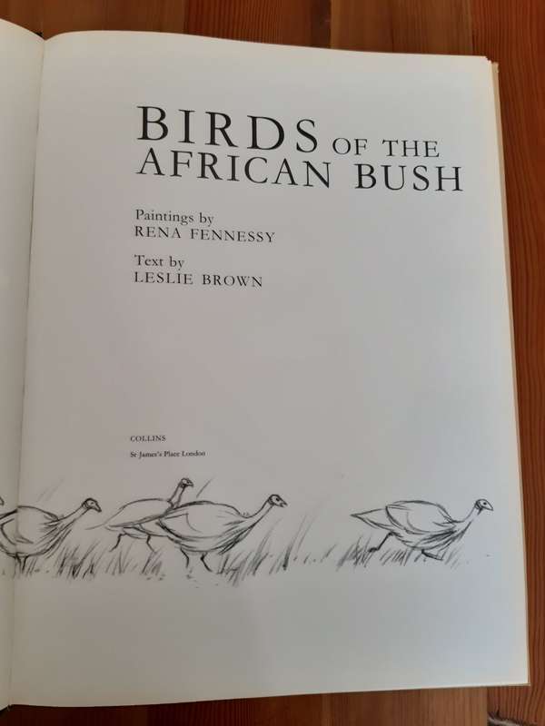 Birds of the African Bush