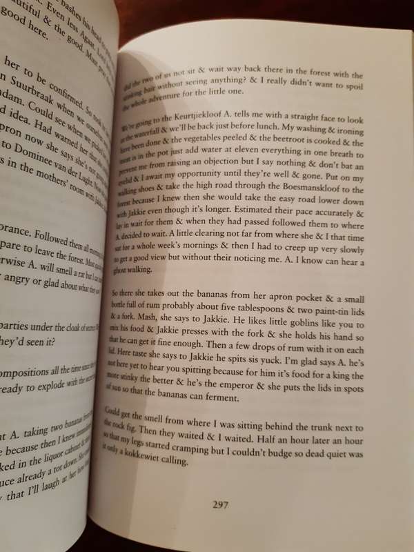 Agaat (English Translation)  by Marlene van Niekerk