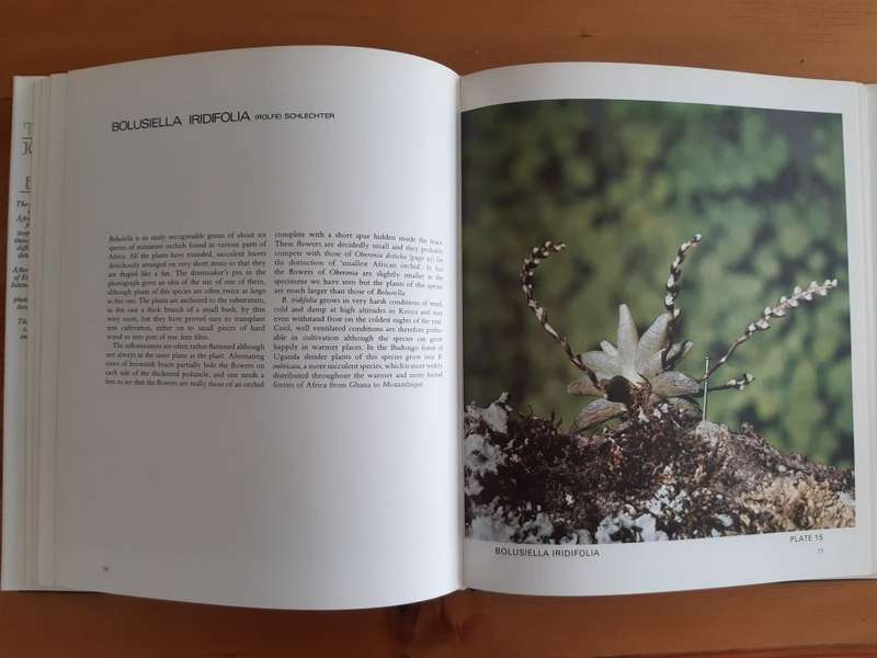Orchids of Tropical Africa - Joyce Stewart