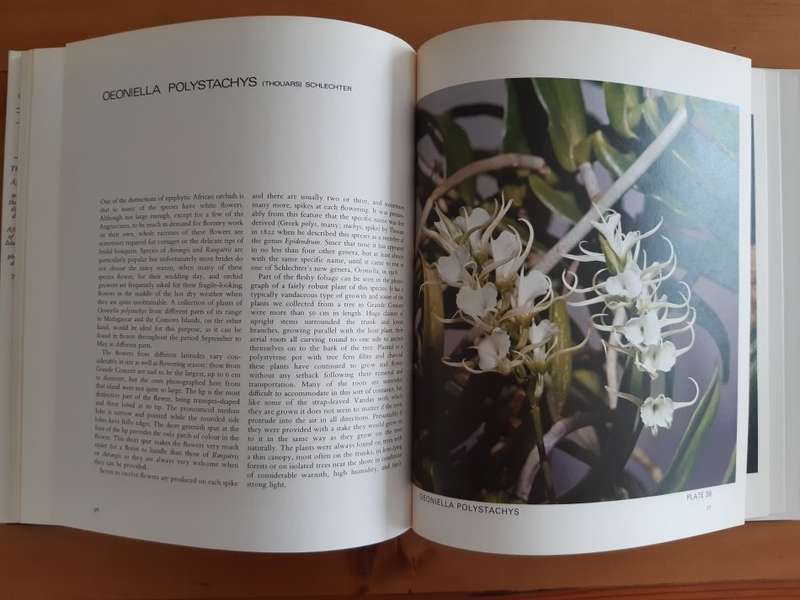 Orchids of Tropical Africa - Joyce Stewart