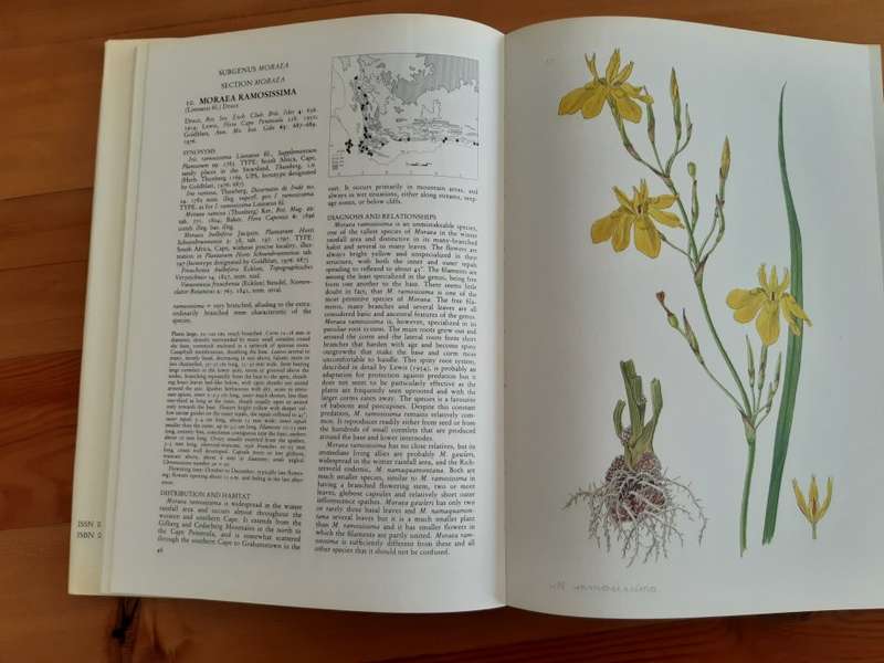 The Moraeas of Southern Africa: A systematic monograph of the genus in South Africa, Lesotho, Swazil