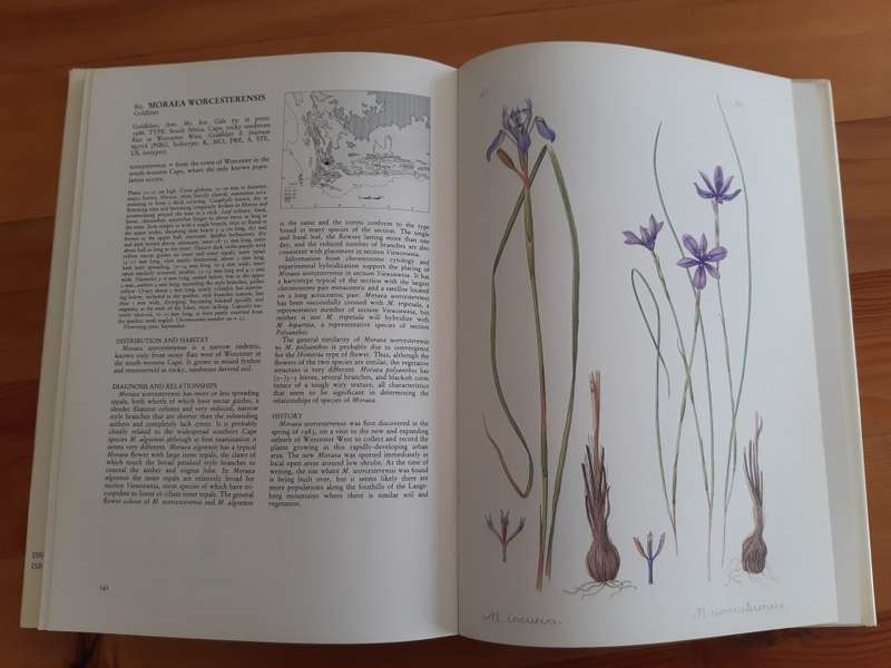 The Moraeas of Southern Africa: A systematic monograph of the genus in South Africa, Lesotho, Swazil