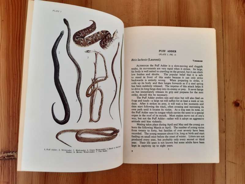 Common Snakes - Longmans' Field Handbooks