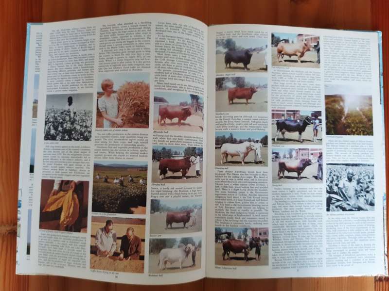 The Rhodesian Book of the Road