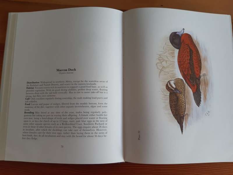 *HALF PRICE SALE!* Gamebirds and waterfowl of southern Africa: A collection of 68 water-colours
