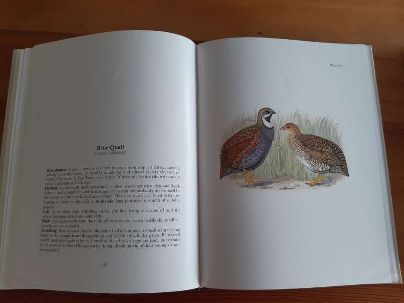 *HALF PRICE SALE!* Gamebirds and waterfowl of southern Africa: A collection of 68 water-colours