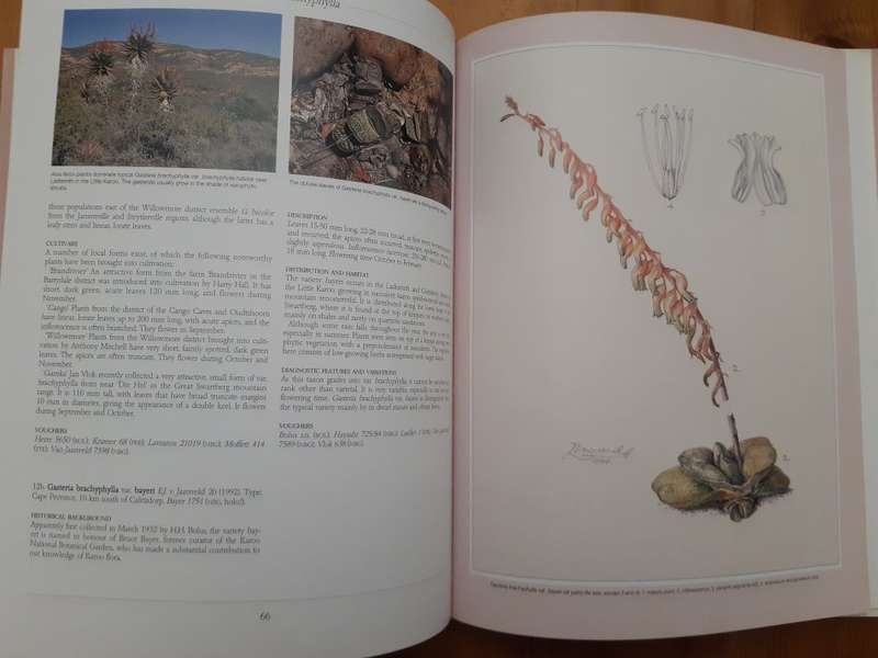 Gasterias of South Africa: A New Revision of a Major Succulent Group