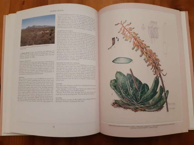 Gasterias of South Africa: A New Revision of a Major Succulent Group