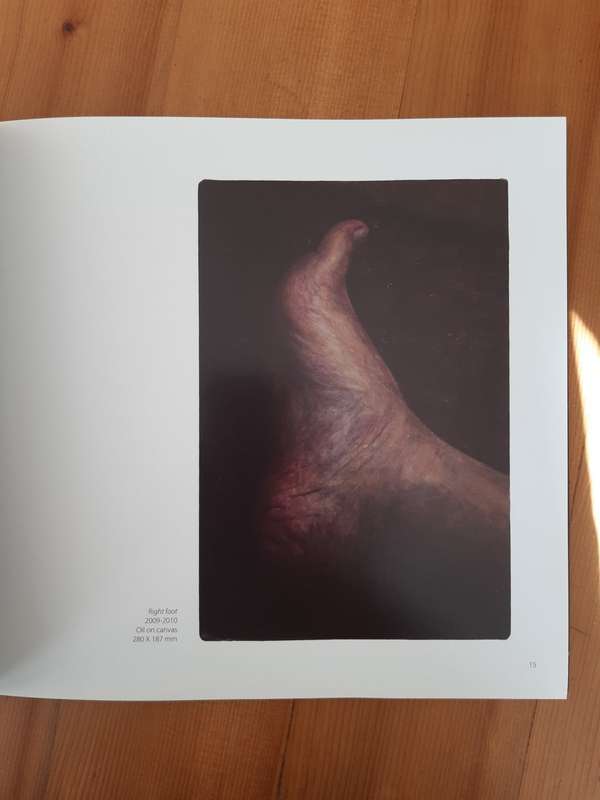 Andries Gouws Pedestrian Paintings, 2007-2011 (Oliewenhuis Art Museum)