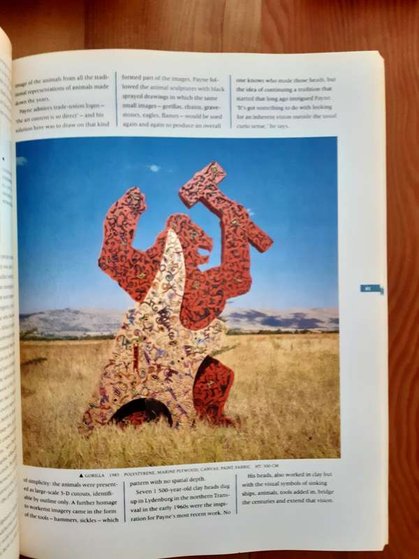 Resistance Art In South Africa - Sue Williamson