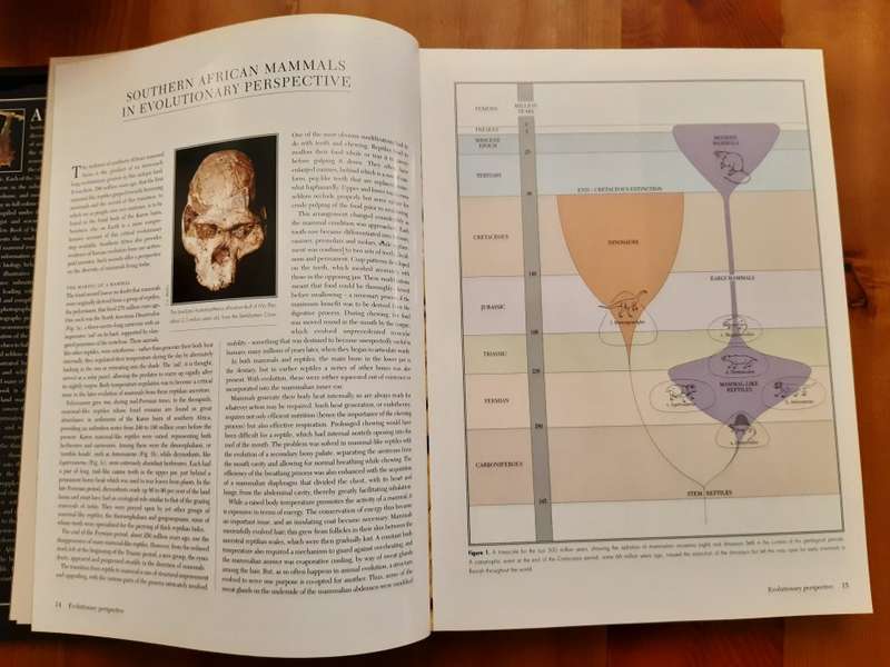 The Complete Book of Southern African Mammals