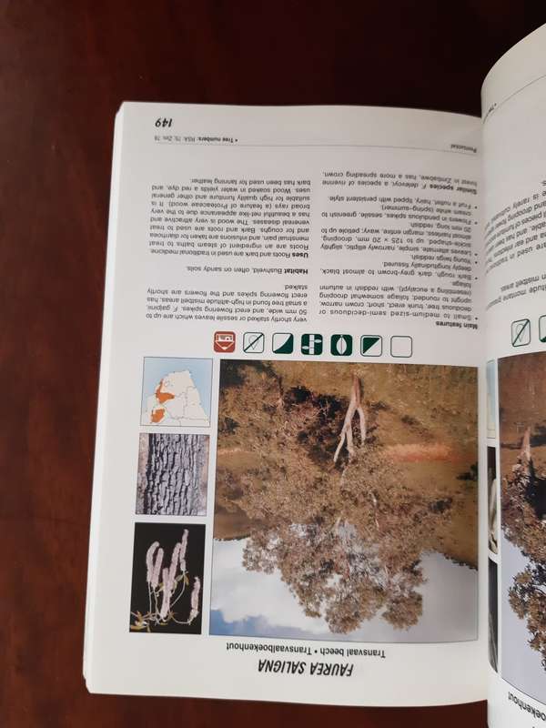 Photographic Guide to Trees of Southern Africa - Braam van Wyk; Piet van Wyk; Ben-Erik van Wyk