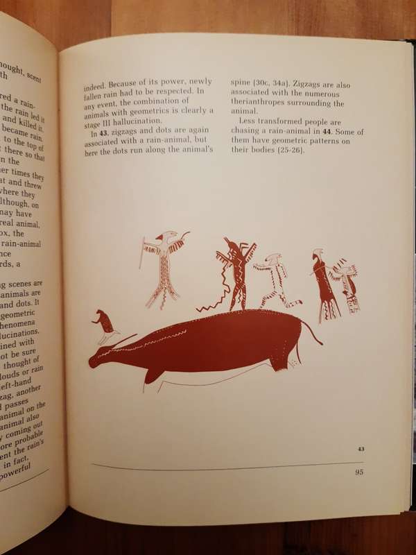 *HALF PRICE SALE!*  Images of Power: Understanding Bushman Rock Art