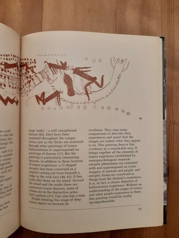 *HALF PRICE SALE!*  Images of Power: Understanding Bushman Rock Art