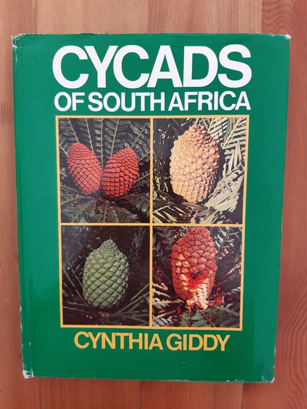 Cycads of South Africa - Cynthia Giddy