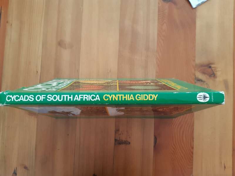 Cycads of South Africa - Cynthia Giddy