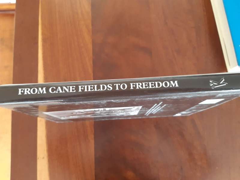 From Cane Fields to Freedom: A Chronicle of Indian South African Life - Uma Dhupelia-Mestrie