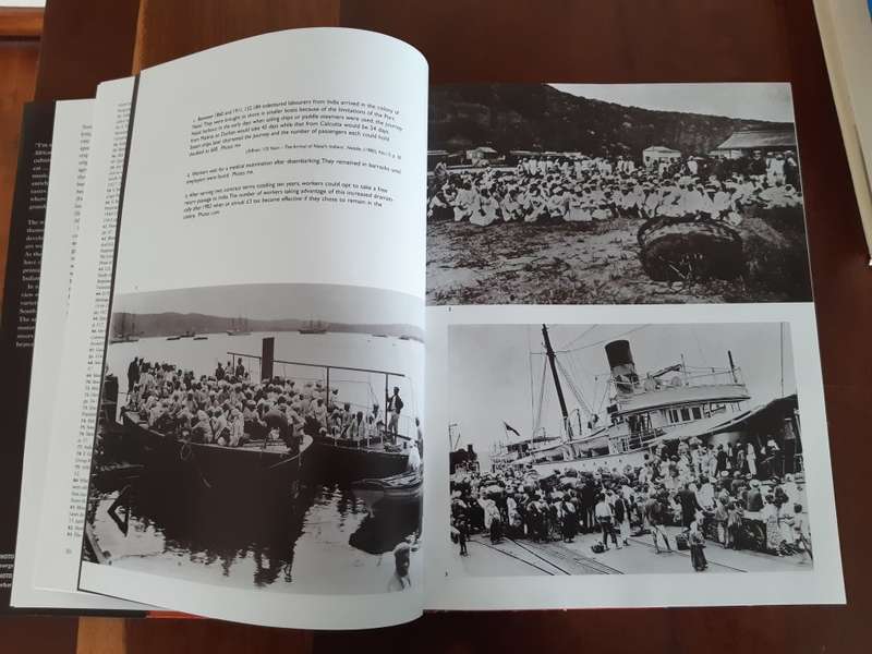 From Cane Fields to Freedom: A Chronicle of Indian South African Life - Uma Dhupelia-Mestrie