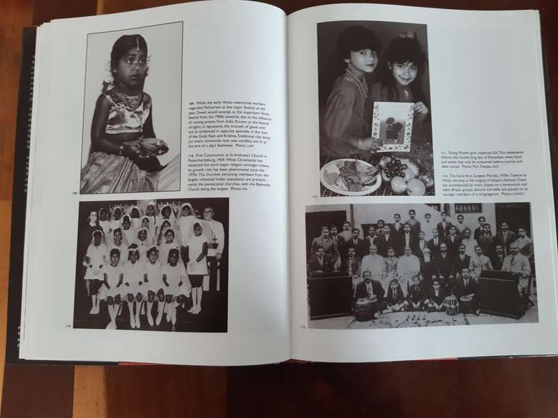 From Cane Fields to Freedom: A Chronicle of Indian South African Life - Uma Dhupelia-Mestrie