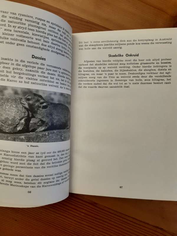*HALF PRICE SALE!* Die Suid-Afrikaanse Wolnywerheid  A. J. Hanekom