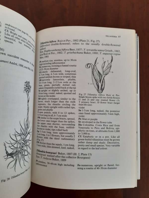 The Bromeliad Lexicon