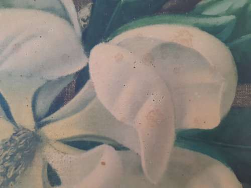 Tretchikoff `Magnolia` Print