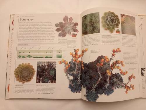 The Complete Book of Cacti and Succulents : The Definitive Practical Guide to Cultivation, Propagati