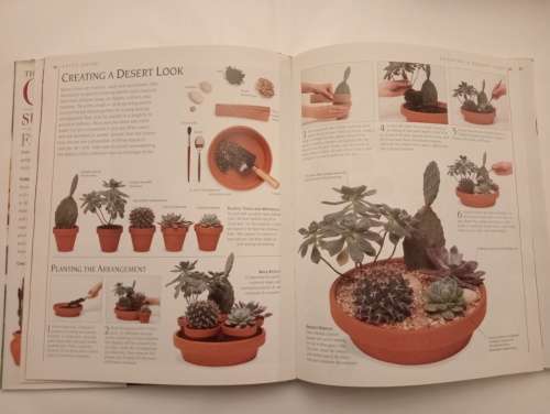 The Complete Book of Cacti and Succulents : The Definitive Practical Guide to Cultivation, Propagati