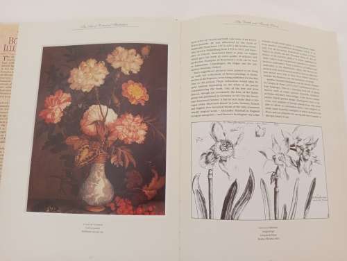 R50 SALE! The Art of Botanical Illustration: The Classic Illustrators and Their Achievements from