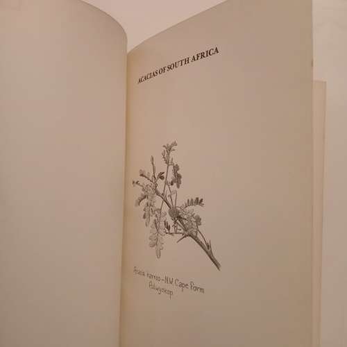 The South African acacias - J. D. Carr