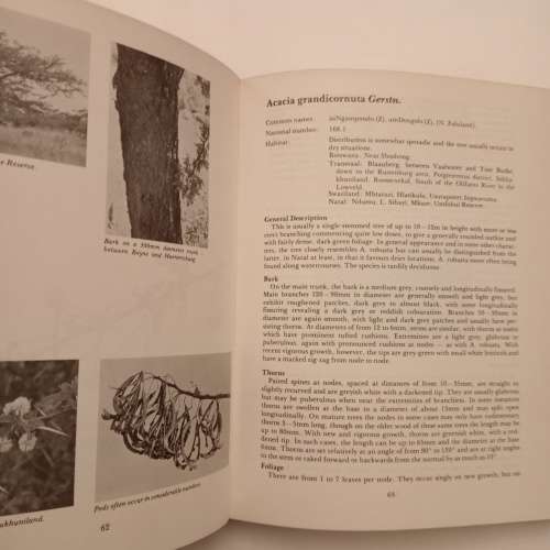 The South African acacias - J. D. Carr