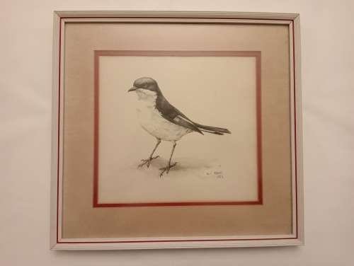 Jill Adams Bird Painting, 1986