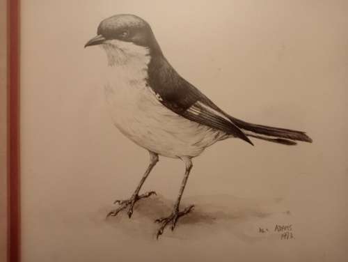 Jill Adams Bird Painting, 1986