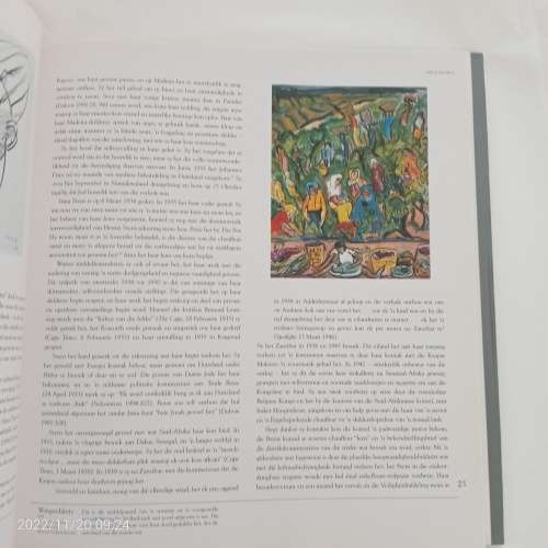 Irma Stern: `n Fees Van Kleur (Afrikaans Edition)
